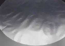 Folienzuschnitte Deckelscheiben rund